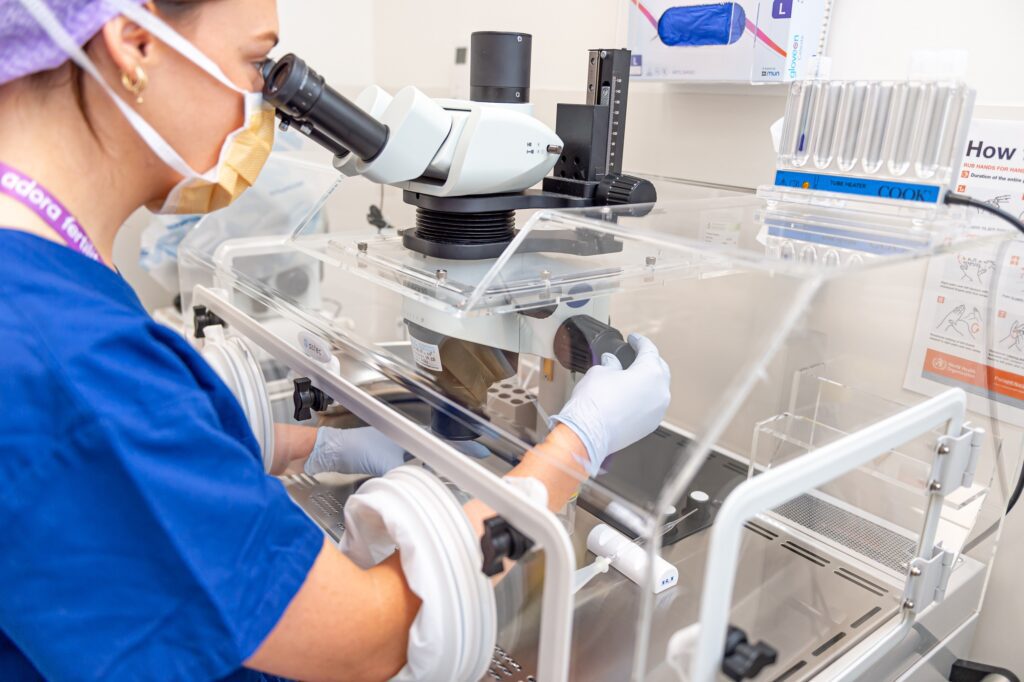 Embryologist looking at eggs under a microscope - Egg freezing process