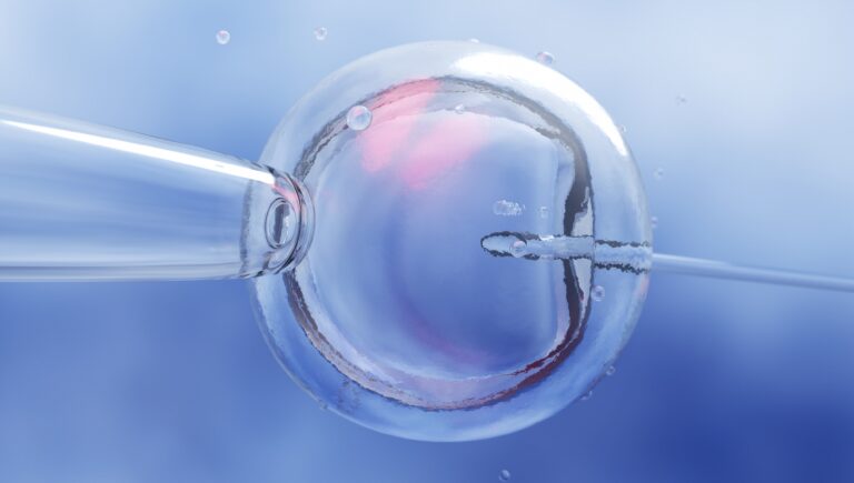 Microscopic research of in vitro fertilization IVF