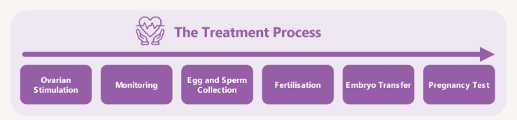 IVF treatment process graphic